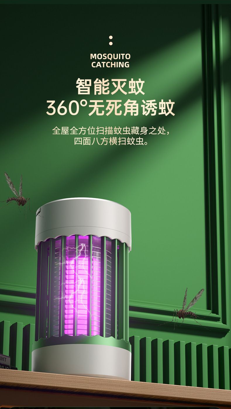 HK250805JJQT15256RMN01_9