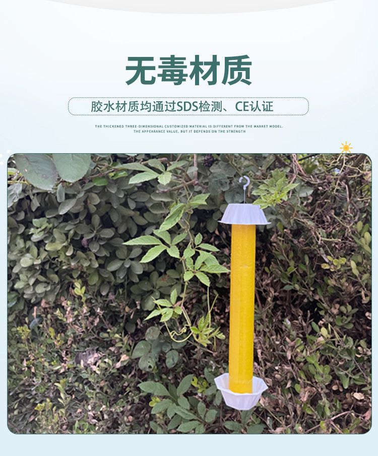 HK250805JJQT15258RMN01_3