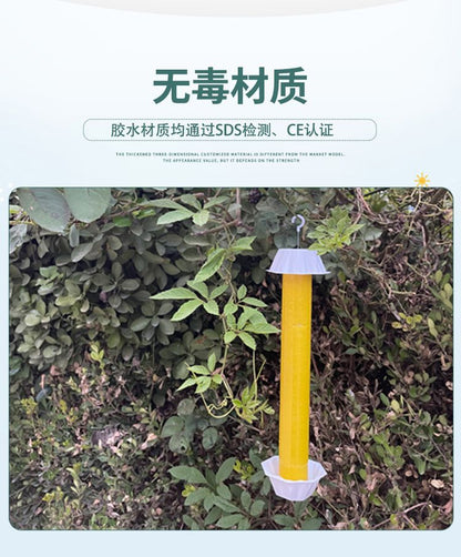 HK250805JJQT15258RMN01_3