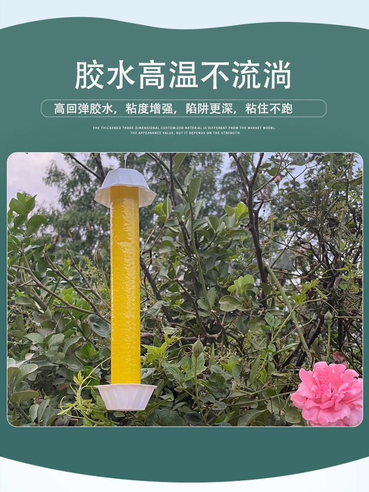 HK250805JJQT15258RMN01_4