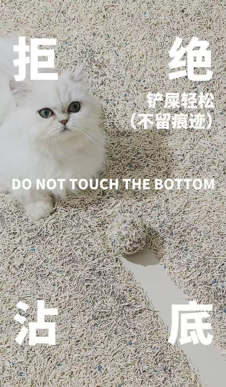 HK250812JJQT15274RMN01_12