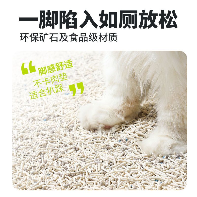 HK250812JJQT15274RMN01_2