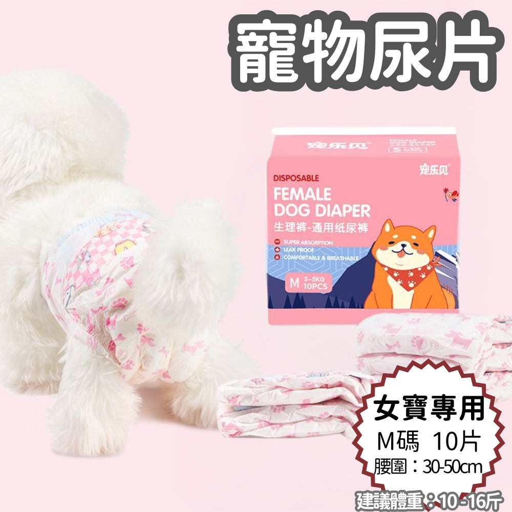 HK250827JJQT15342RMN01_0