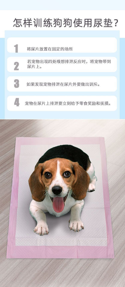 【S碼：33x45cm】100片裝尿墊 狗狗尿片 狗廁所 寵物尿布墊 抛弃式狗厕所 訓練寵物尿片 環保狗狗 尿布 狗尿布墊 柯基 老年犬 幼犬 狗尿墊 尿布 尿不濕 寵物吸水尿片 泰迪 金毛 加厚- View 8-ManyMart 萬嚟買