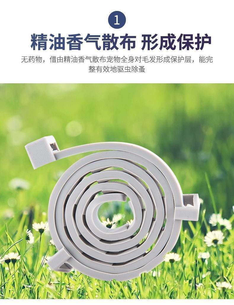 HK250827JJQT15361RMN01_5