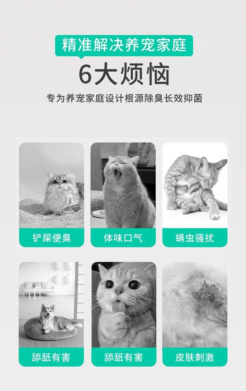 HK250827JJQT15415RMN01_2