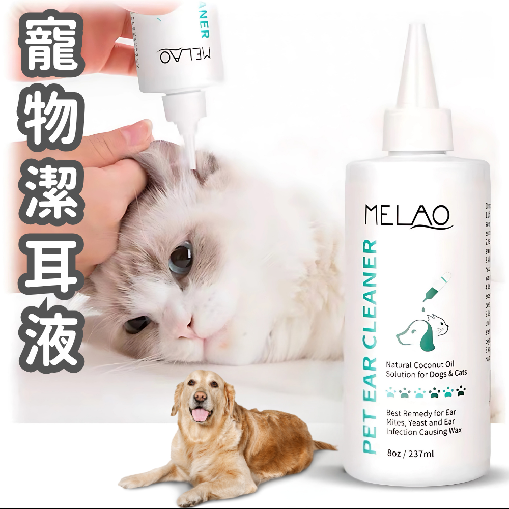 HK250827JJQT15452RMN01_0