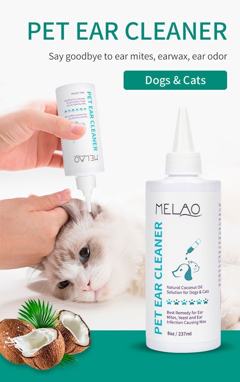 HK250827JJQT15452RMN01_2