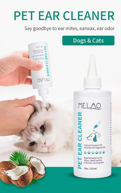 HK250827JJQT15452RMN01_2