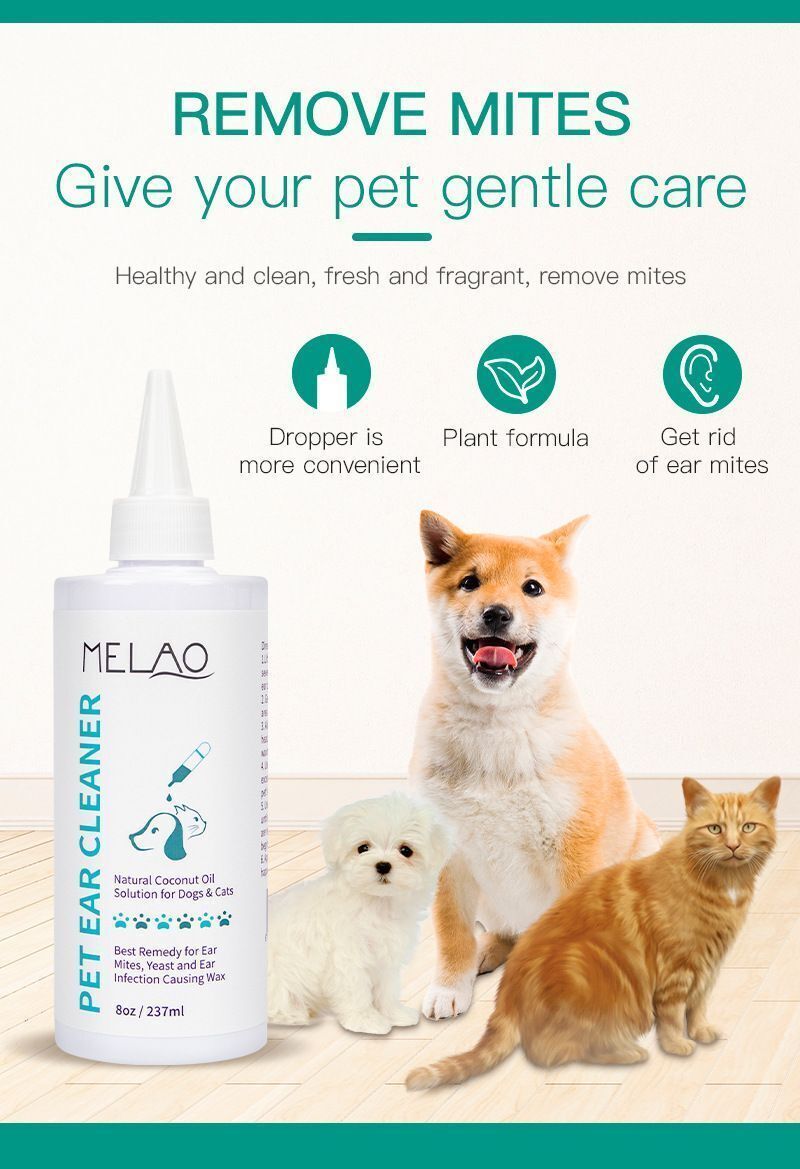 HK250827JJQT15452RMN01_4