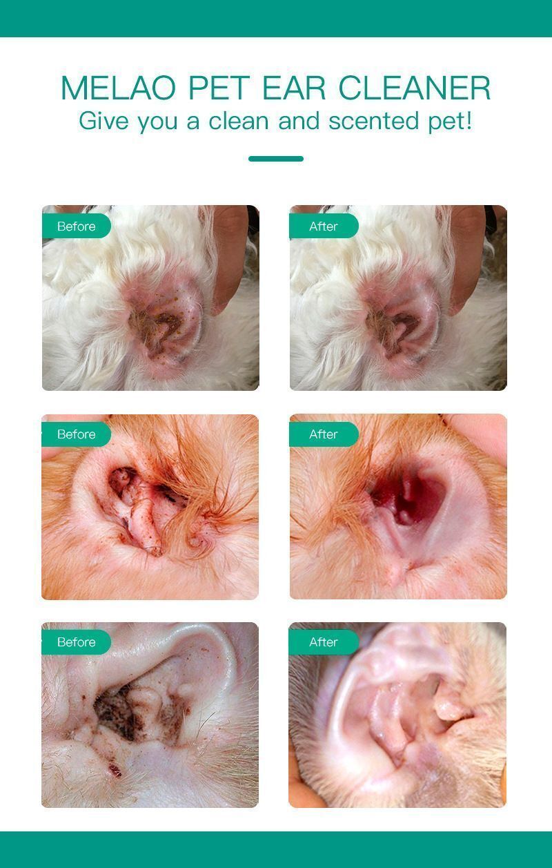 HK250827JJQT15452RMN01_5