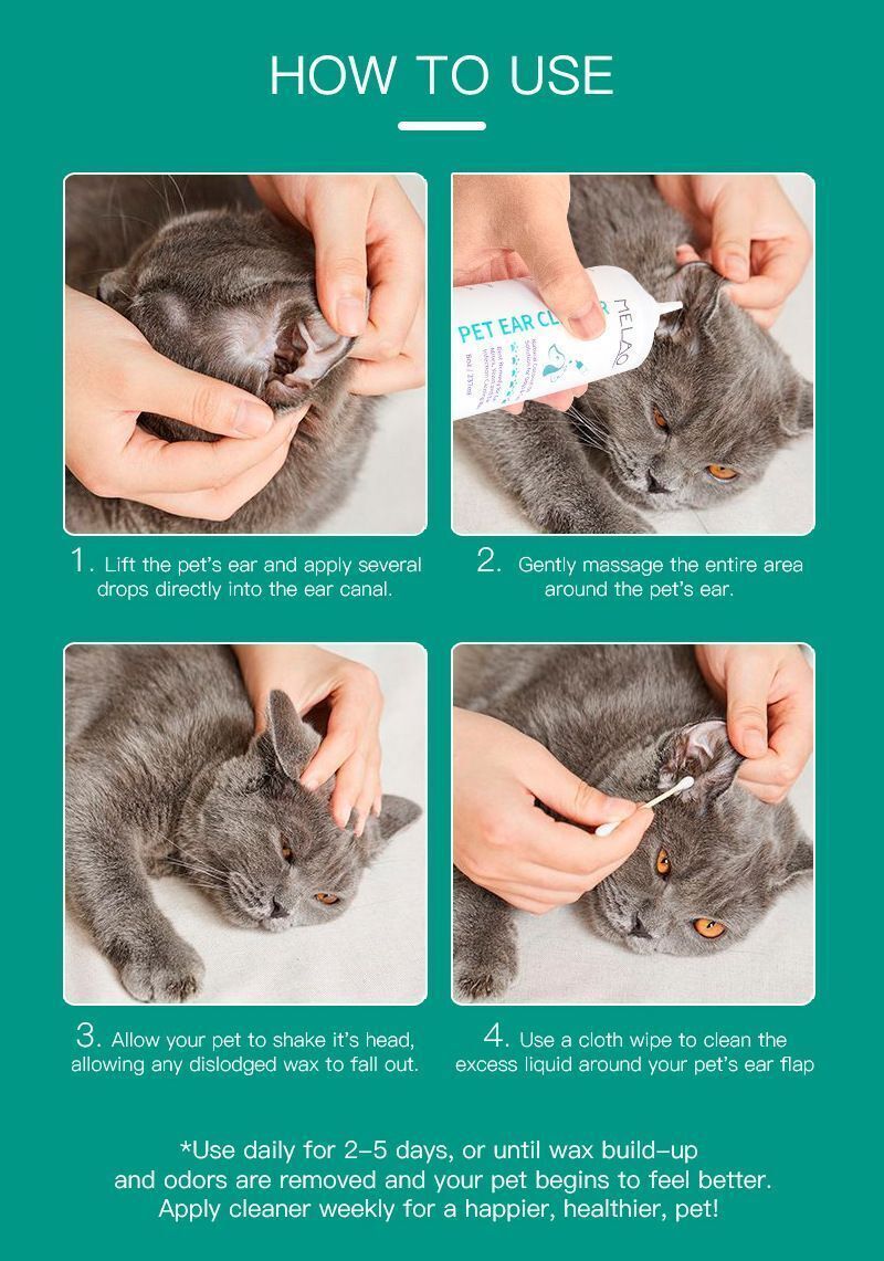 HK250827JJQT15452RMN01_7