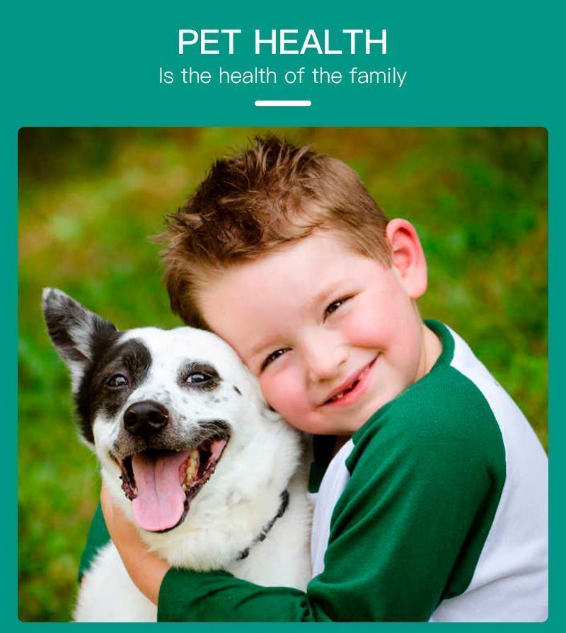 HK250827JJQT15452RMN01_8