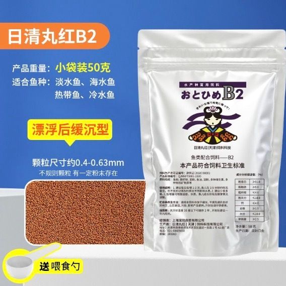 HK251021JJQT15678RMN01_1