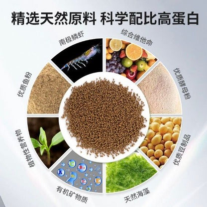 HK251021JJQT15678RMN01_2