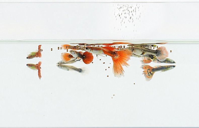 HK251021JJQT15678RMN01_4