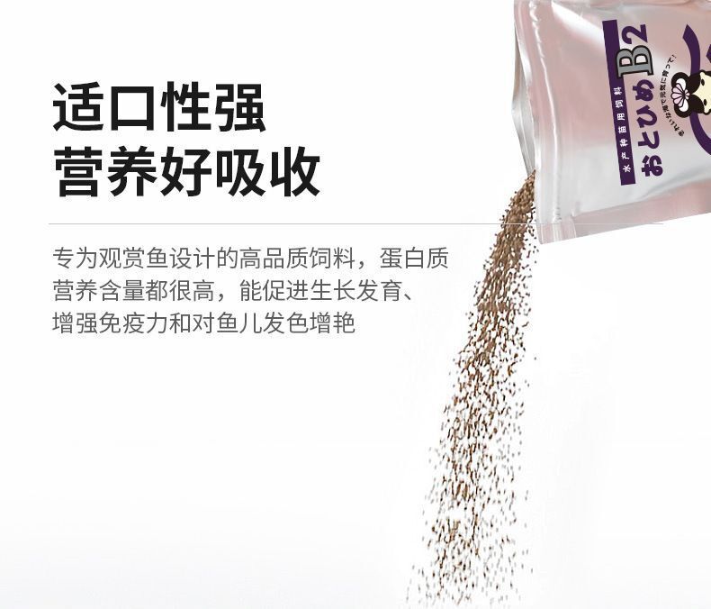 HK251021JJQT15678RMN01_5