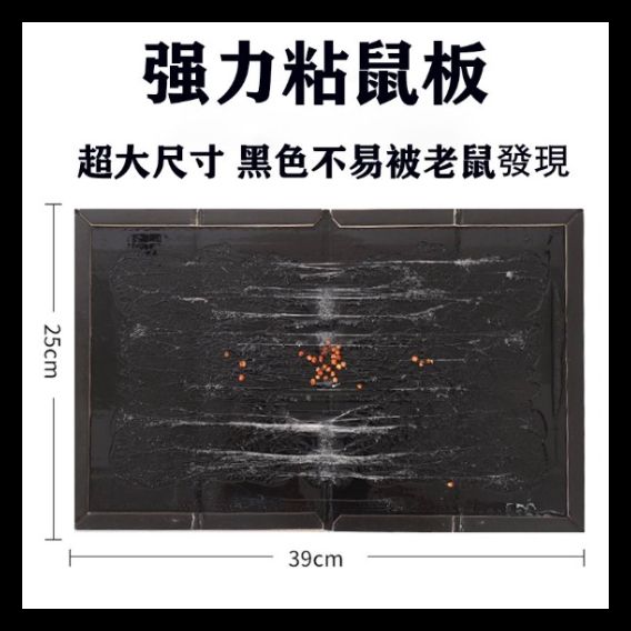 HK251021JJQT15685RMN01_0