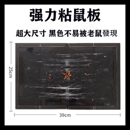 HK251021JJQT15685RMN01_0