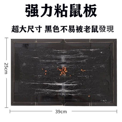 HK251021JJQT15685RMN01_1