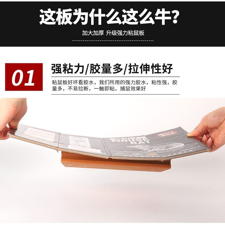 HK251021JJQT15685RMN01_4
