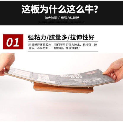 HK251021JJQT15685RMN01_4