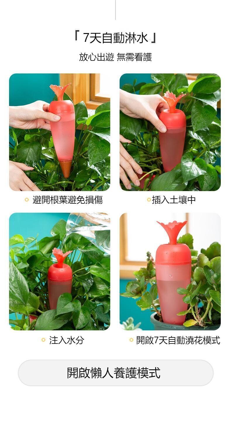 HK260107JJQT15910RMN01_5