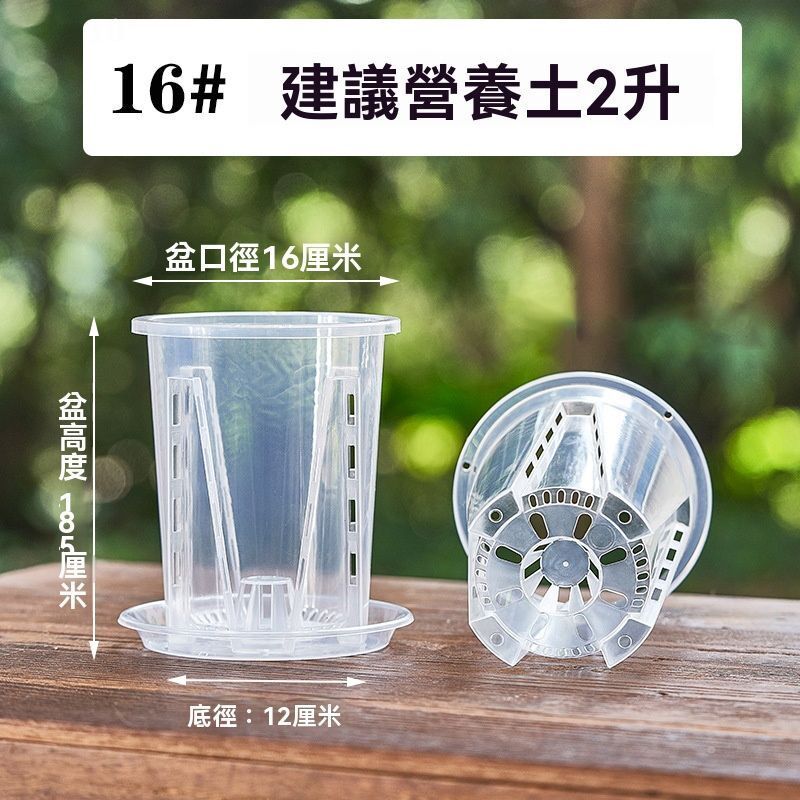 HK260107JJQT15925RMN05_4