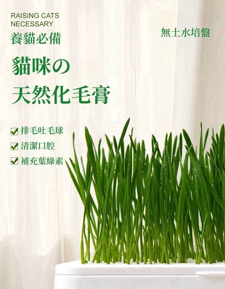 HK260107JJQT15939RMN01_2