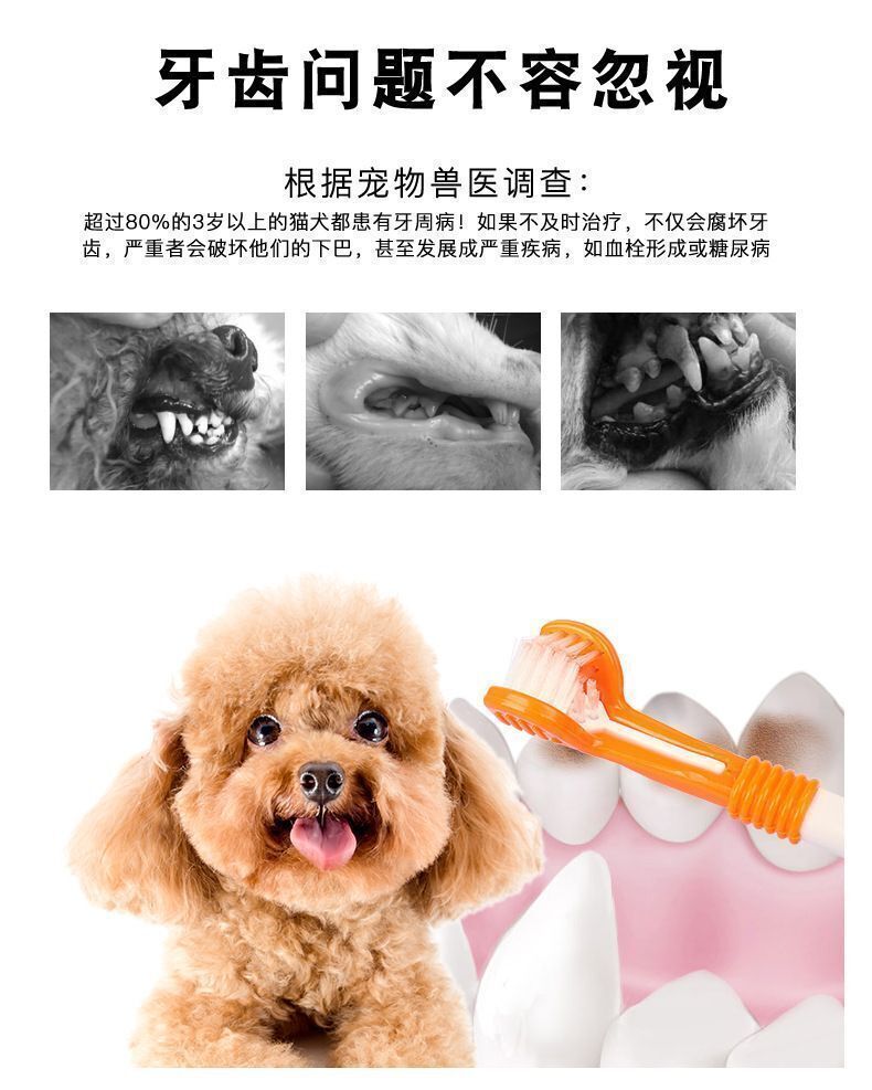 HK260428JJQT16321RMN01_2