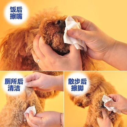 【100片 X 5包】寵物濕紙巾 加大加厚狗狗護理濕巾 狗狗淚痕 貓咪眼屎 擦手腳 毛孩清潔 除耳垢 殺菌消毒 寵物專用 犬貓兔 除臭 潔耳 除菌 消臭 濕廁紙 潔淨- View 2-ManyMart 萬嚟買