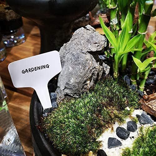 （4吋2個裝）透明塑膠花盆附底托含標籤 植物花盆 通用透氣排水,適用於室內植物、草藥、花卉和仙人掌- View 4-ManyMart 萬嚟買