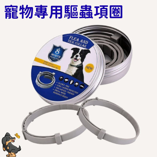 HK260916JJQT16872RMN01_0