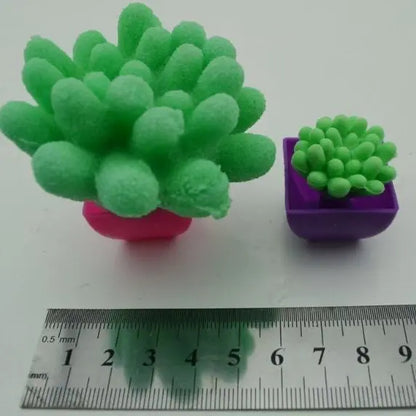 2個膨脹仙人掌植物吸水玩具-2-3cm仙人 膨脹仙人掌植物吸水玩具變大熱賣仙人球吸水膨脹大花朵 聖誕禮物 兒童玩具