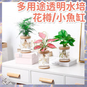透明水培花樽 小魚缸 透明花樽 透明花盆 小金魚魚缸 種花 水植物 家居裝飾 新入伙 送禮自用 花盆 花架