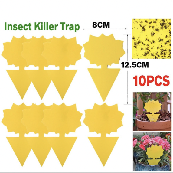 (10片裝) 粘蟲板 誘蟲板 雙面黃板沾蟲板 蝴蝶花型 昆蟲陷阱 異型防水 滅蟲劑 噴霧
