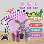 LED植物生长灯USB 红蓝紫植物夹灯种植多肉灯（三管款式/红蓝紫光）