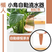 懒人用小鸟自动浇水器自动滴水器盆栽多肉定时浇花神器园艺家用红陶滴嘴缓释水插头渗水器（粉红色）