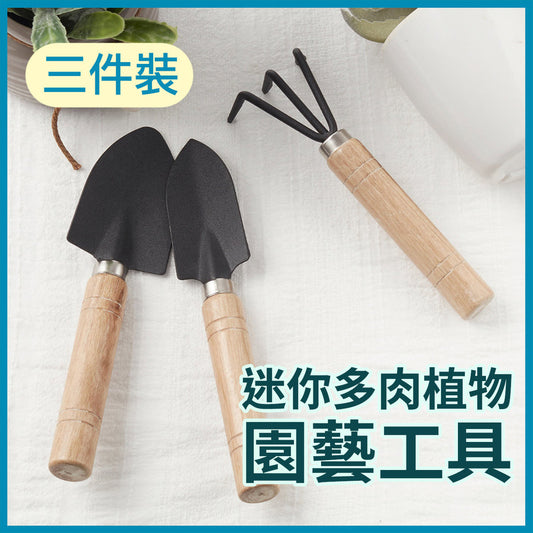 (Three-pack) Mini Succulent Gardening Tools Flower Pots and Flower Stands