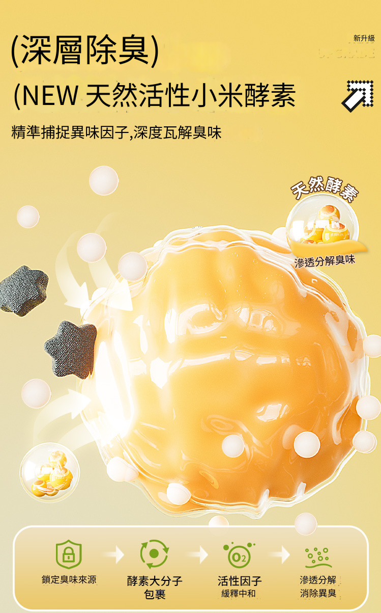 HK241008JJQT12766RMN01_6