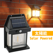 Outdoor solar light bulb tungsten induction wall lamp garden light garden villa night light lighting