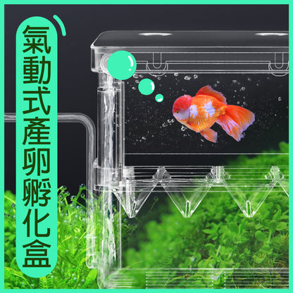 Large - fry breeding box, fish tank, guppy goldfish isolation box, separated fish partition incubator box, juvenile fish spawning incubator box 13.5x14x8cm