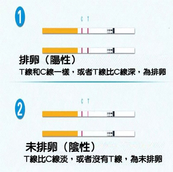 排卵檢測試紙盒裝(10條裝) 促黃體生成素(LH)檢測試紙 【預測排卵】