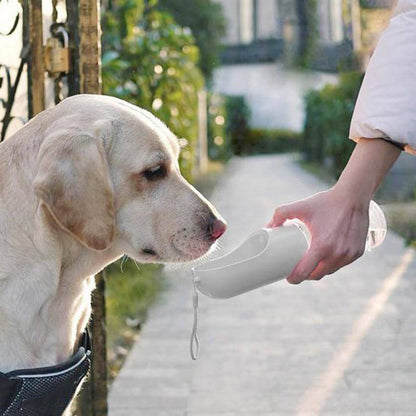 Pet drinking fountain 550ml Pet Multifunctional Water Bottle Pet dog and cat water bottle drinking fountain outdoor travel pet tumbler pet outing kettle dog outing kettle dog water bottle