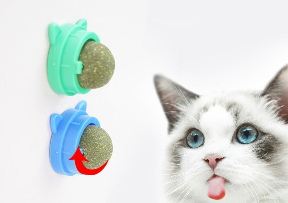 Catnip ball, cat teeth grinding and teeth cleaning interactive toy (random color), healthy snacks for cats