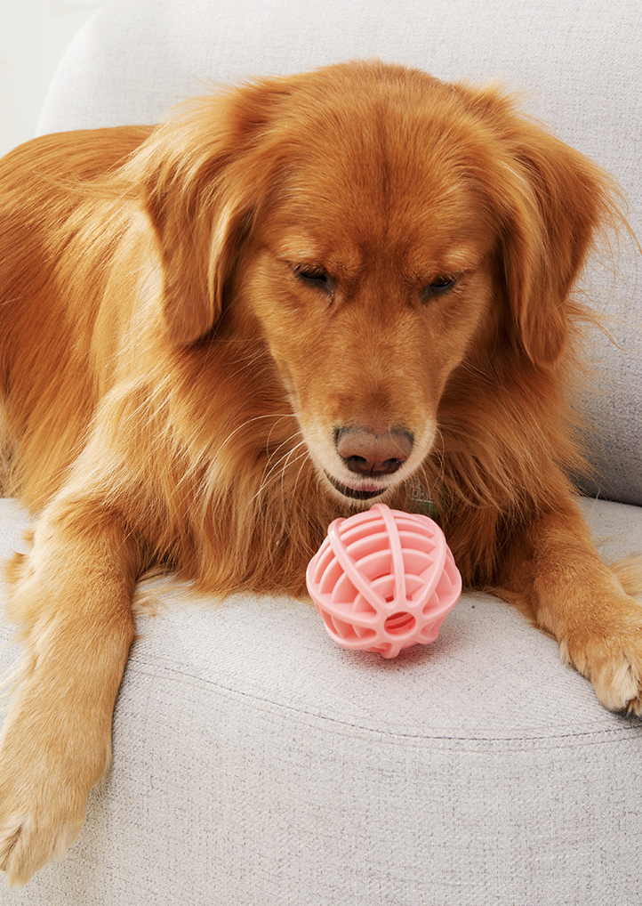 Pet toy dog ​​elastic ball toy pet toy ball rubber elastic fun food leaking ball pink ball