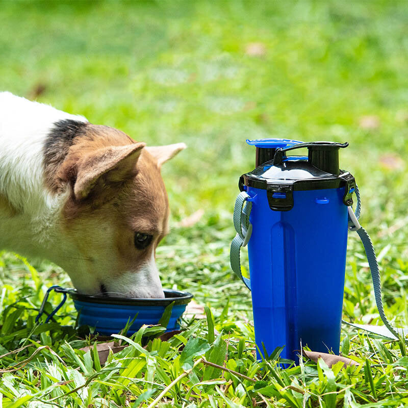 寵物外出水糧杯兩用水糧杯 便攜飲水瓶水壺 折疊狗糧碗 戶外隨行水杯 隨行杯