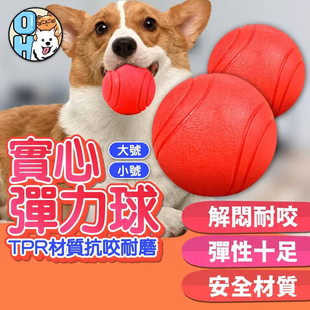 高彈力狗狗玩具球 寵物TPR啃咬玩具 毛小孩玩具 耐咬玩具 訓練玩具