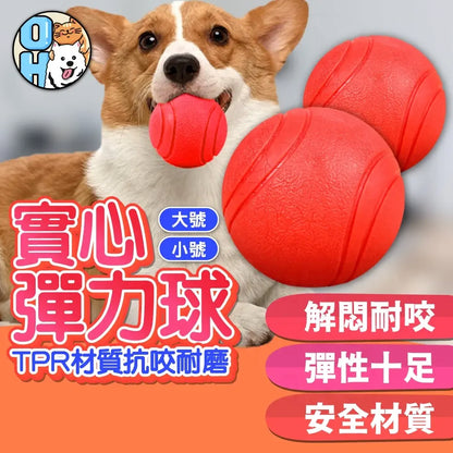 Highly elastic dog toy ball pet TPR chew toy fur child toy bite resistant toy training toy