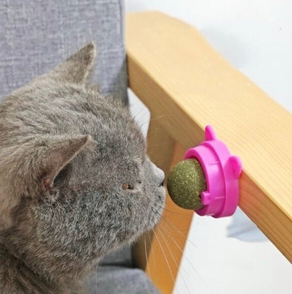 猫薄荷球猫咪磨牙洁齿互动玩具( 颜色随机) 猫健康小食